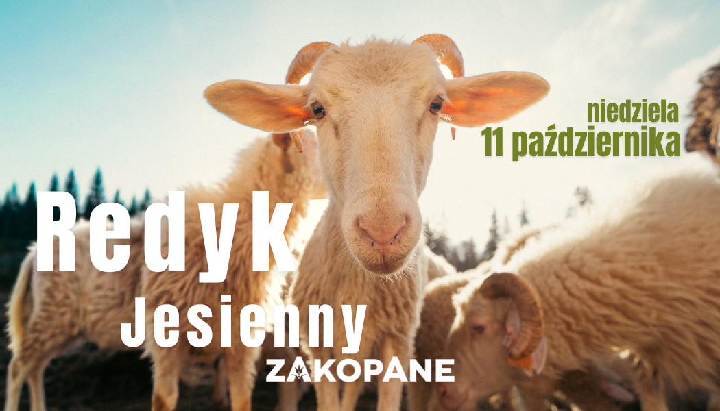 Redyk Jesienny 2026 w Zakopanem – żywa tradycja Podhala
